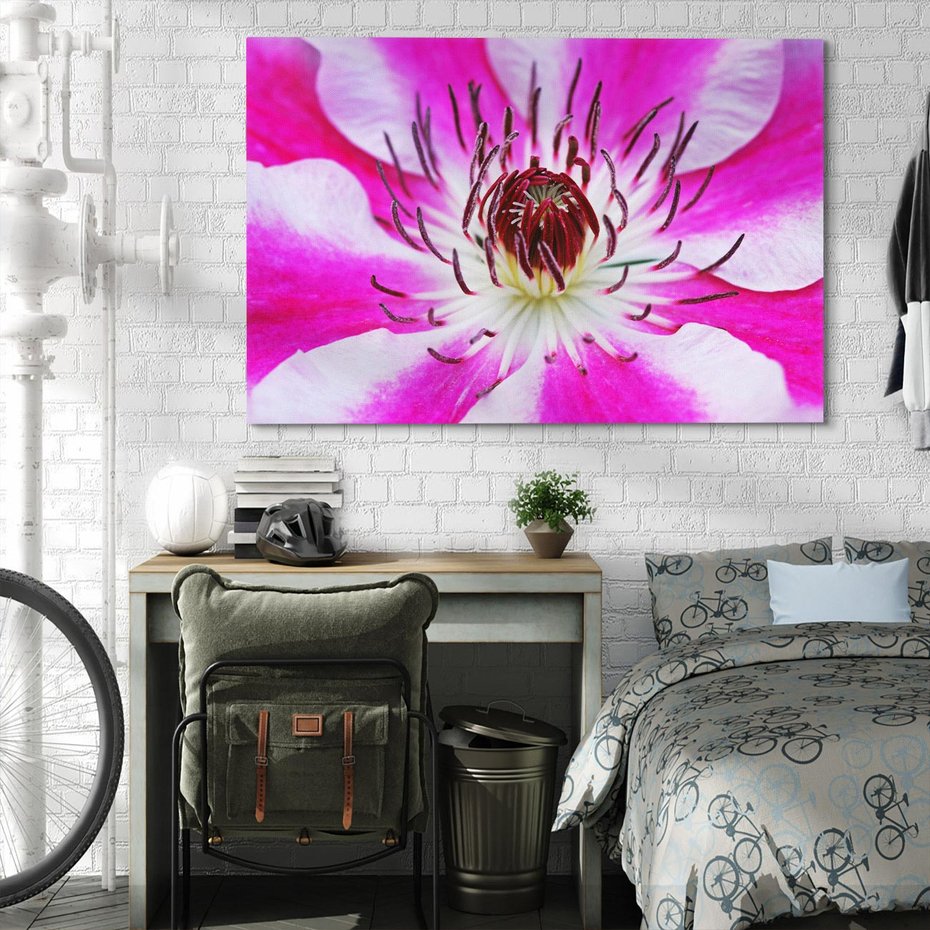 Obraz na płótnie 70x50 - delikatność natur - kwiat, kwiaty