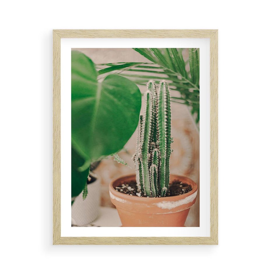 Plakat w ramie 50x70 - Boho Urok - kaktus w doniczce, gliniana doniczka - rama drewno
