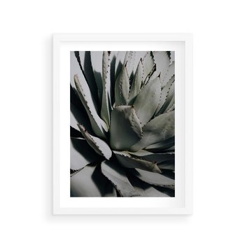 Plakat w ramie 40x50 - Egzotyczny Raj - sukulenty, kaktusy - rama biała