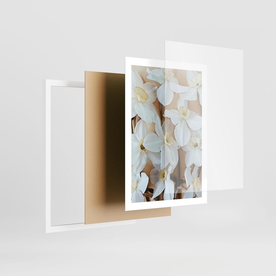 Plakat w ramie 50x70 - Białe Narcyzy - narcyzy, kwiaty - rama biała