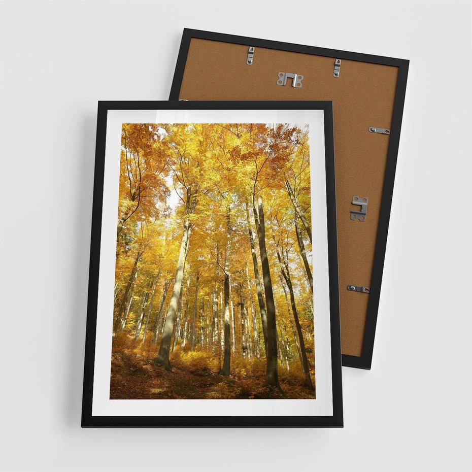 Plakat w ramie 50x70 - Jesienny Las - Kolorowa Paleta Natury - jesień, drzewa - rama czarna