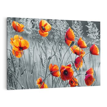 Obraz na płótnie 70x50 - Malownicza łąka - maki, mak