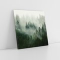 Obraz na płótnie 50x50 - Las Mgły - Las, we