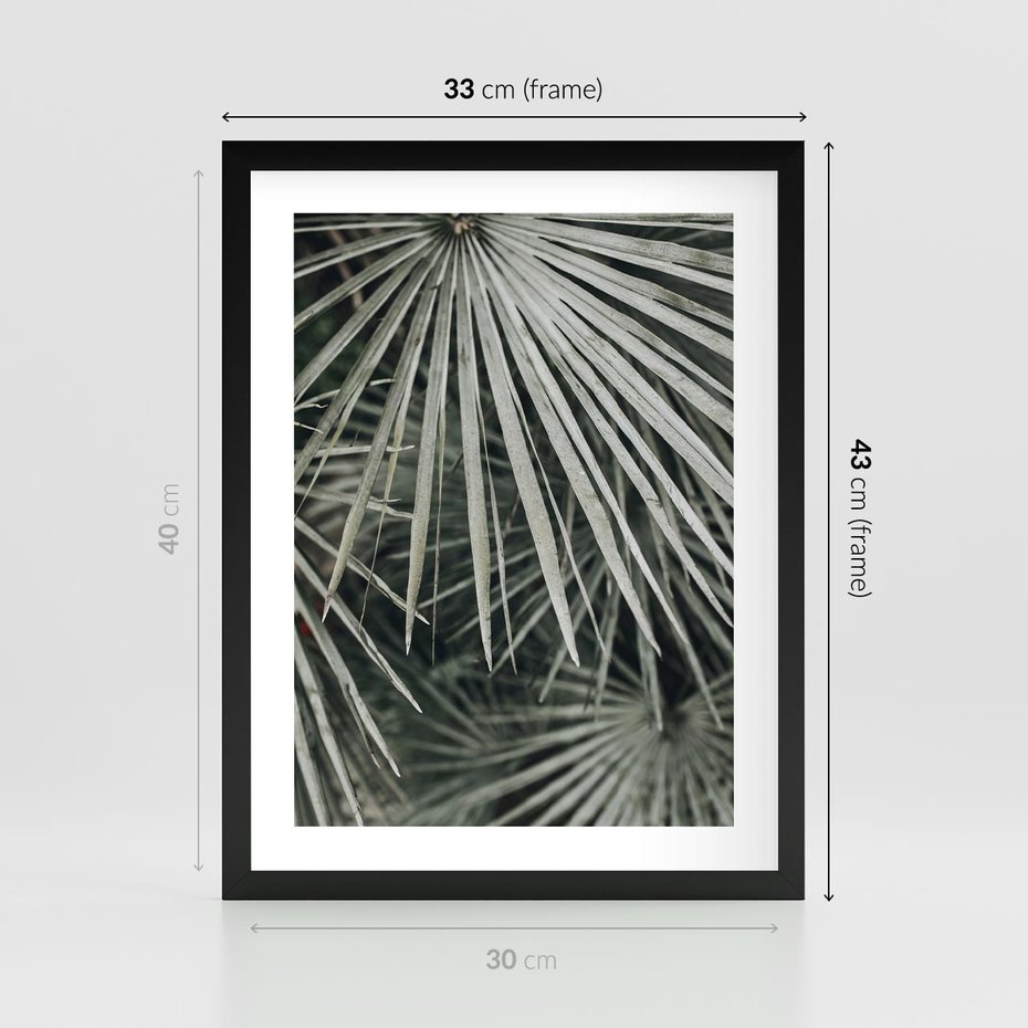Plakat w ramie 30x40 - Ujęcie Tropikalnej Natury - palmy, liście palmy - rama czarna