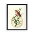 Plakat w ramie 40x50 - Rozkwitająca Delikatność - japońska sztuka, ptak - rama czarna