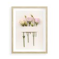 Plakat w ramie 50x70 - Białe kwiatowe uniesienia - białe, kwiaty - rama drewno