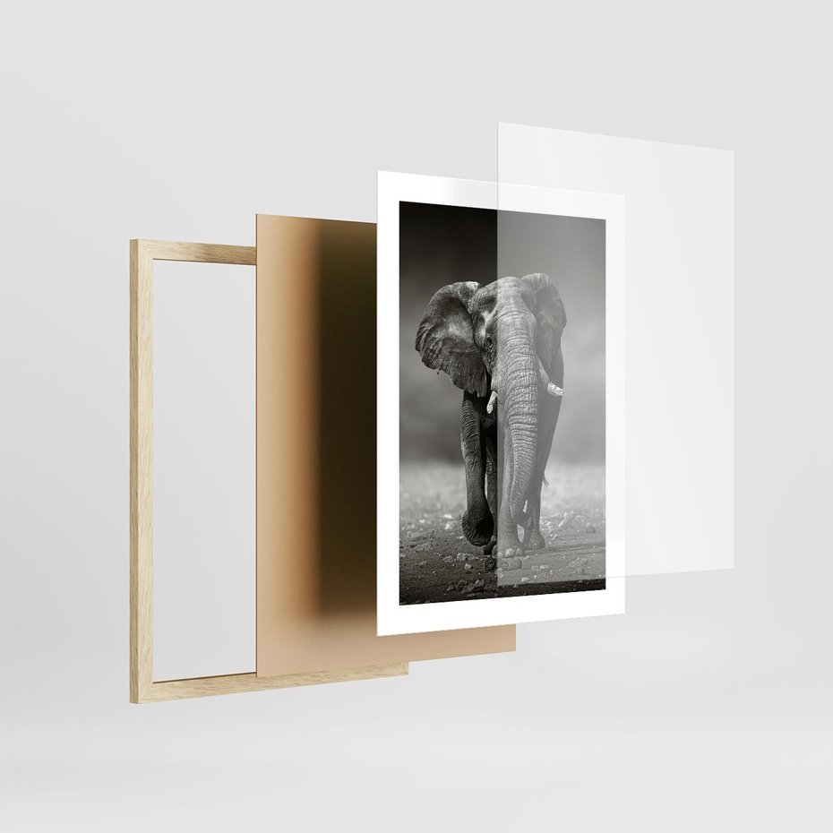 Plakat w ramie 30x40 - Majestatyczny słoń Afryki - słoń, Afryka - rama drewno