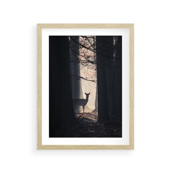 Plakat w ramie 30x40 - Sarnie Skoki - zdjęcie, klimatyczny las - rama drewno