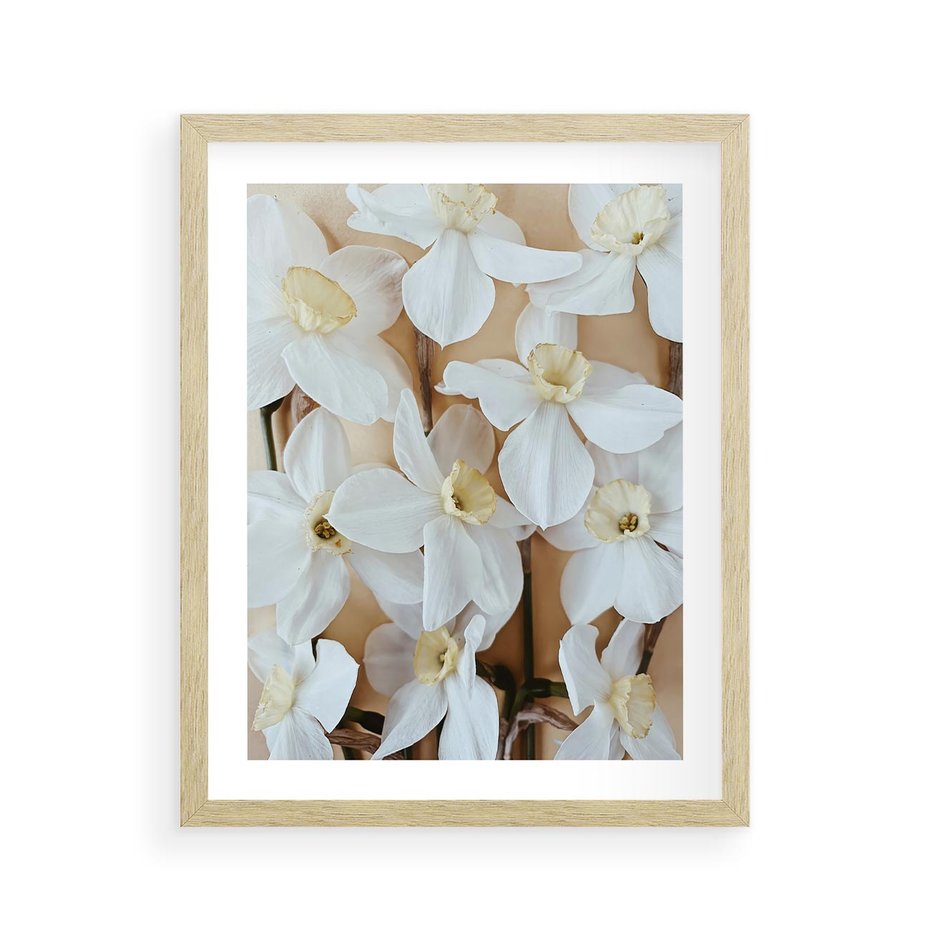 Plakat w ramie 40x50 - Białe Narcyzy - narcyzy, kwiaty - rama drewno