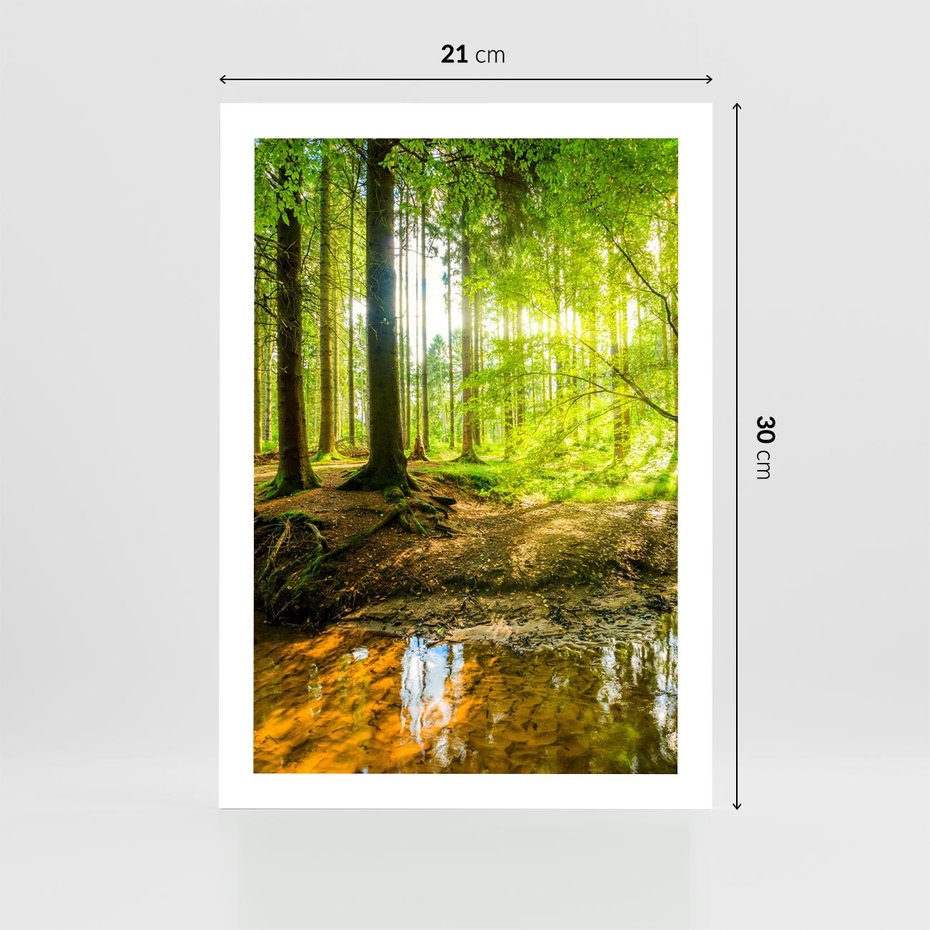 Plakat bez ramy 21x30 - Las nad Wodą - las, woda