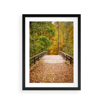 Plakat w ramie 50x70 - Spacer Ścieżką w Las - ścieżka, spacer - rama czarna