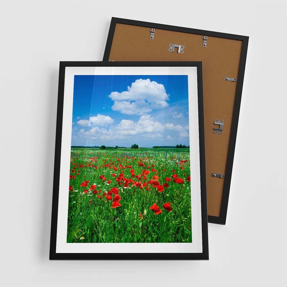 Plakat w ramie 50x70 - Kolorowa łąka pełna maku - łąka, maki - rama czarna