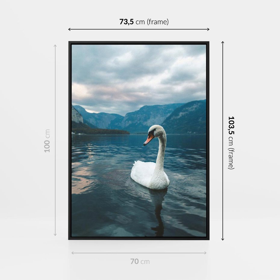 Obraz w ramie 70x100 - Łabędzi Śpiew - fotografia, plakat - rama czarna