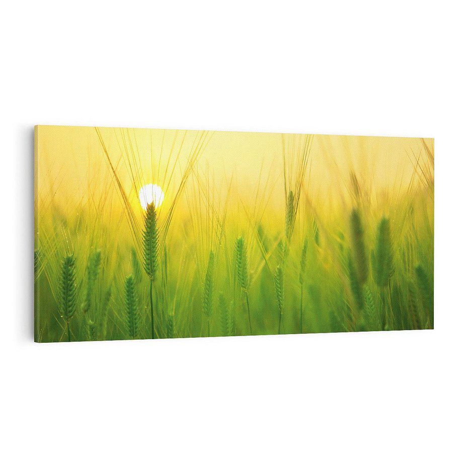 Obraz na płótnie 140x70 - Zboże w kłosach: Oda do plonów natury - zboże, kłos