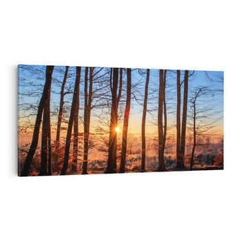 Obraz na płótnie 120x60 - Piękno lasu - las, drzewa