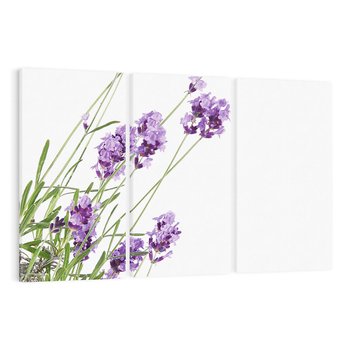 Obraz na płótnie 120x80 - Delikatny Urok - lawenda, kwiaty