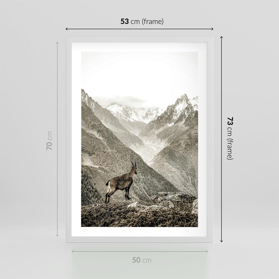 Plakat w ramie 50x70 - Dzikie Piękno: Kozica w Malowniczym Górskim Scenerii - kozica, góry - rama biała