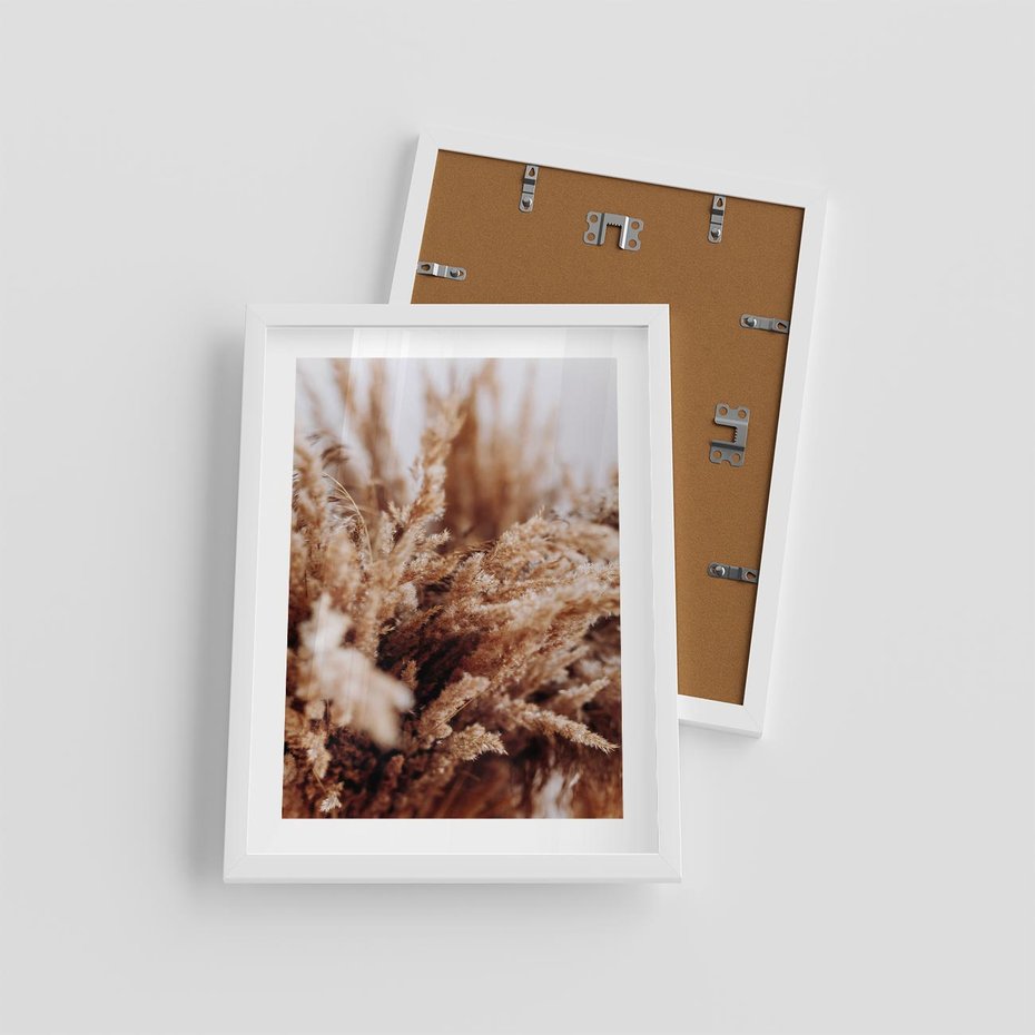 Plakat w ramie 30x40 - Sztuka Suszonych Traw - trawa pampas, suszone trawy - rama biała