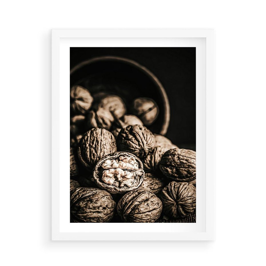 Plakat w ramie 50x70 - Orzechy Włoskie w Sepii - orzechy włoskie, fotografia retro - rama biała
