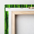 Obraz na płótnie 40x40 - Bambusowy urok zielonej harmonii - bambus, zieleń