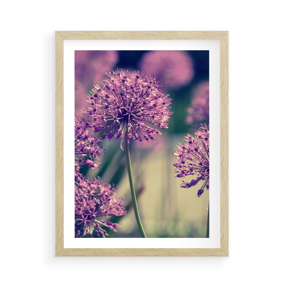 Plakat w ramie 50x70 - Kwiatowa łąka w pełnym rozkwicie - kwiaty, łąka - rama drewno