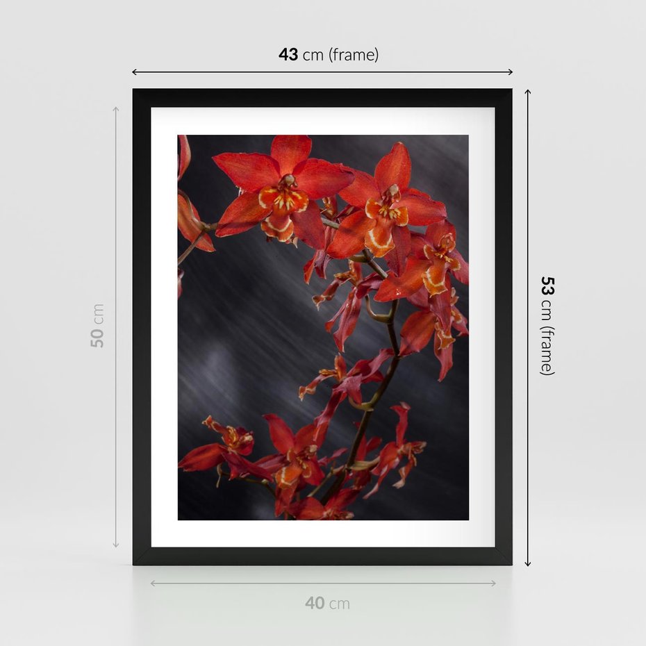 Plakat w ramie 40x50 - Kolorowy Raj - kwiaty, tropikalne - rama czarna