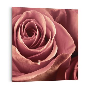 Obraz na płótnie 30x30 - Romantyczna Róż - róża, kwiat