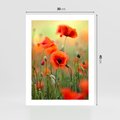 Plakat bez ramy 30x40 - Makowa Pasja - maki, kwiaty