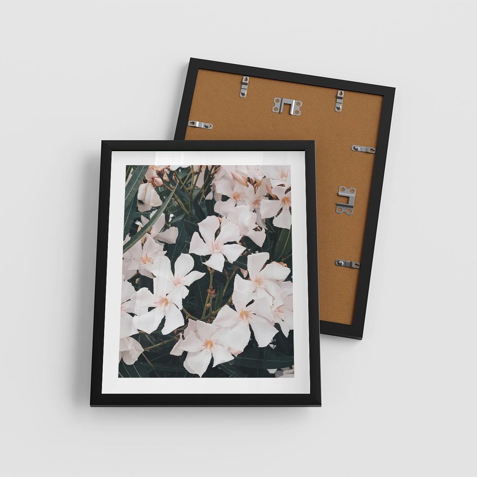 Plakat w ramie 40x50 - Egzotyczna Uroda - białe kwiaty, tropikalne kwiaty - rama czarna