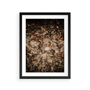 Plakat w ramie 40x50 - Suchość Liści w Brązowych Tonach - suche liście jesień brąz - rama czarna