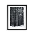 Plakat w ramie 30x40 - Leśna Cisza: Malowniczy Pejzaż Zimą - las zimą, ośnieżone pnie drzew - rama czarna