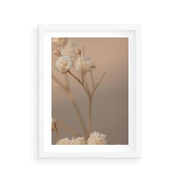 Plakat w ramie 30x40 - Subtelna gipsówka - gipsówka, suche - rama biała