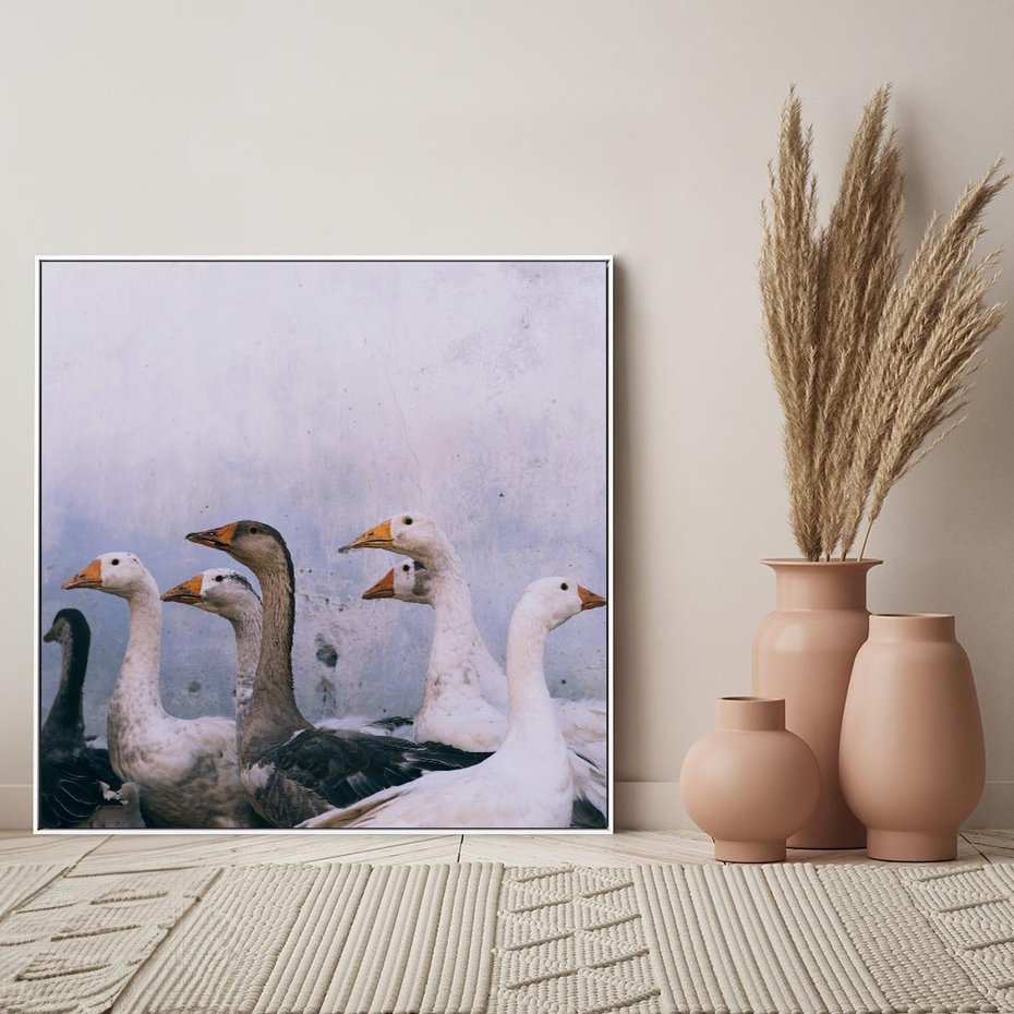 Obraz w ramie 80x80 - Spotkanie Wśród Piór - uchwycony moment, fotografia - rama biała