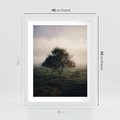 Plakat w ramie 40x50 - Zamglona Prostota - artystyczna fotografia, samotne drzewo na zamglonej łące - rama biała