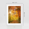 Plakat w ramie 30x40 - Złote barwy jesiennego lasu - las, jesień - rama biała