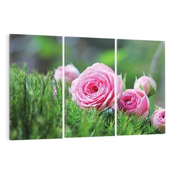 Obraz na płótnie 120x80 - Różane Ukojenie - róże, kwiaty