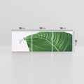 Obraz na płótnie 150x50 - Zielone liście monstery - liście, monstera