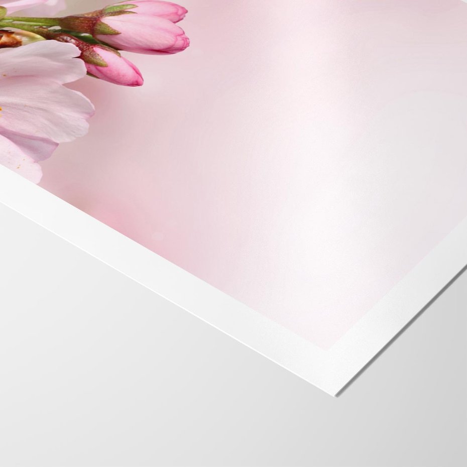 Plakat bez ramy 50x70 - Kwitnąca wiśnia: delikatność natury - kwitnąca, wiśnia