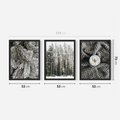 Zestaw obrazy w ramie 50x70 galeria - Las, zima, kawa - rama czarna
