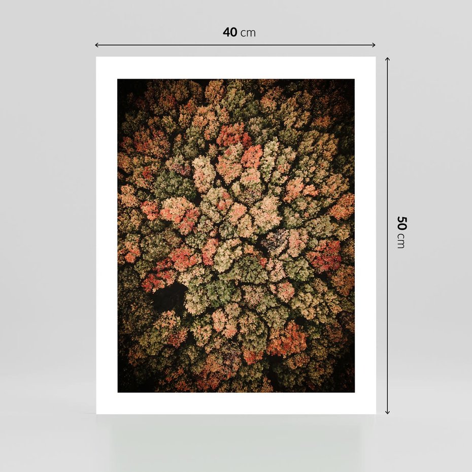 Plakat bez ramy 40x50 - Jesień z Lotu Ptaka: Malowniczy Las - las jesienią z lotu ptaka