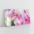 Obraz na płótnie 100x50 - Elegancja orchidei - orchidea, kwiaty