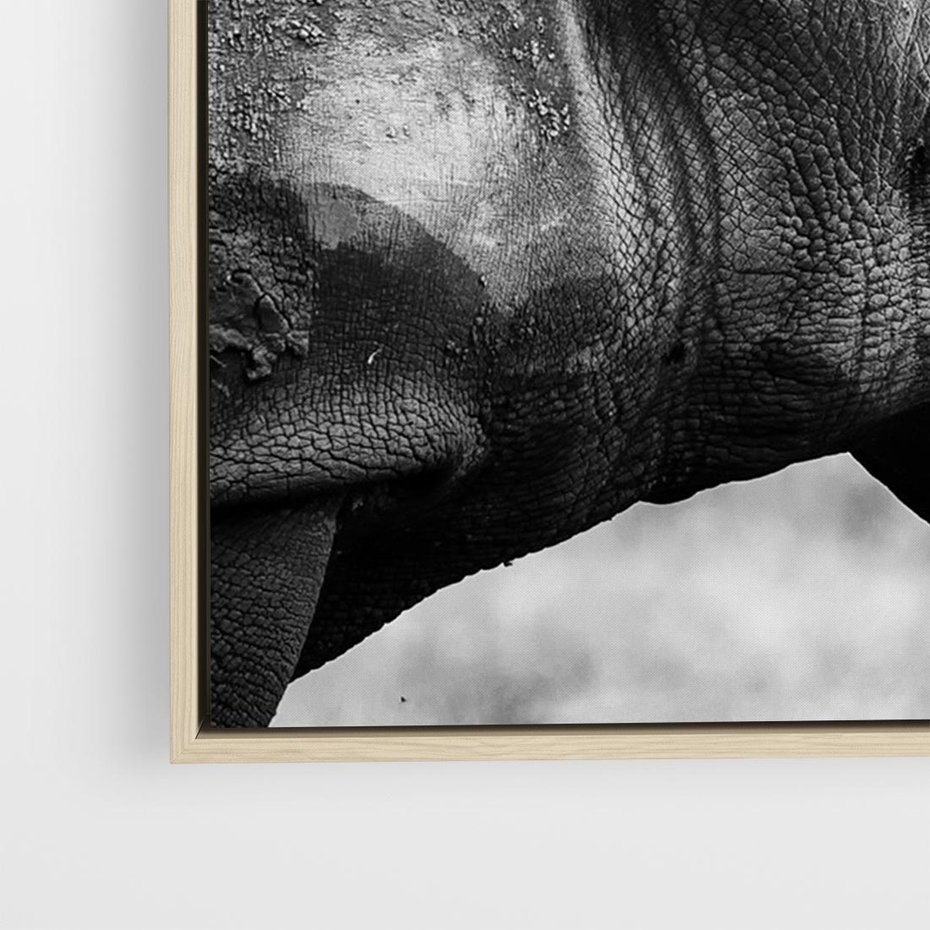 Obraz w ramie 70x50 - Potęga Afryki - czarno biała fotografia, zbliżenie na postać nosorożca - rama drewno