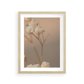 Plakat w ramie 30x40 - Subtelna gipsówka - gipsówka, suche - rama drewno
