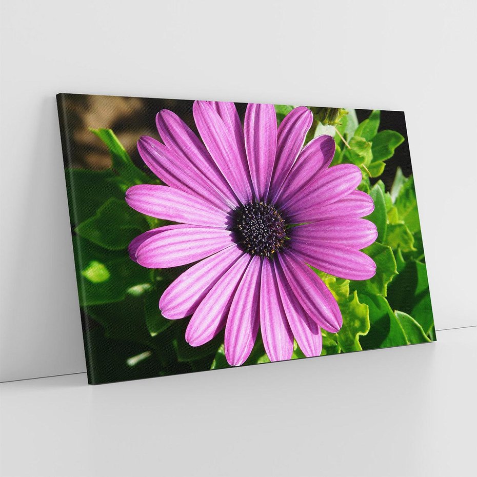 Obraz na płótnie 70x50 - Kwiatowy Dotyk - kwiat, kwiaty