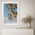 Plakat bez ramy 40x50 - Pod Niebem Palmy - palmy na niebieskim niebie