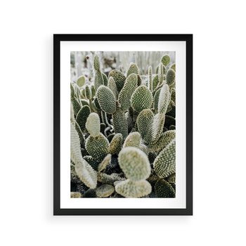 Plakat w ramie 40x50 - Kaktusowa Harmonia - kaktusy, fotografia - rama czarna