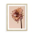 Plakat w ramie 50x70 - Delikatne piękno - suche, kwiaty - rama drewno