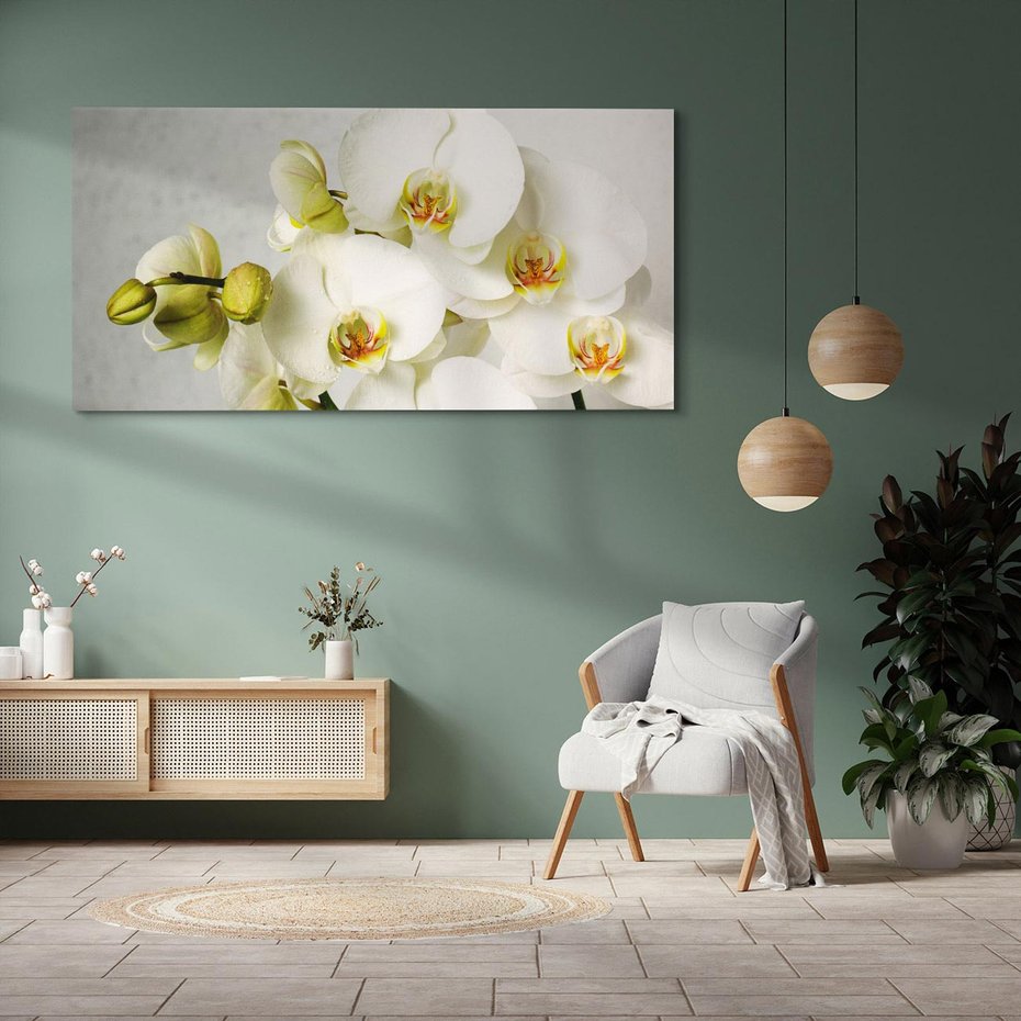 Obraz na płótnie 100x50 - Elegancka uroda orchidei - orchidea, kwiaty