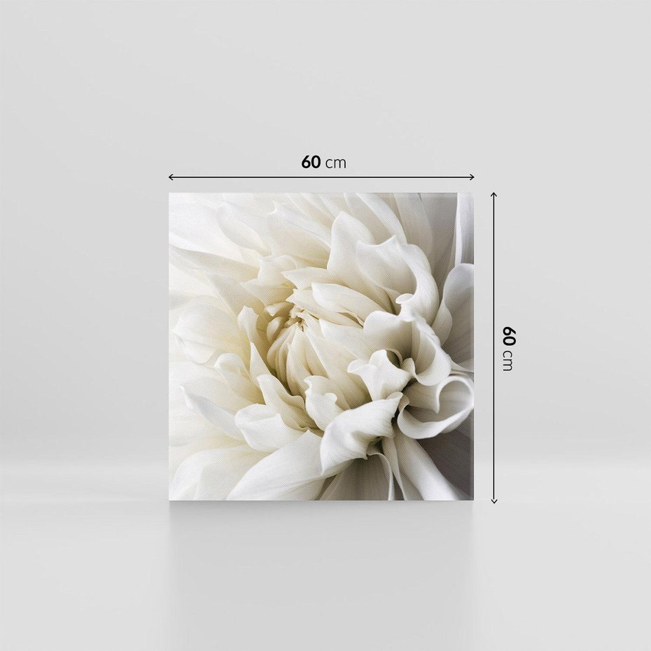 Obraz na płótnie 60x60 - Białe Kwiaty Delikatności - białe, kwiaty
