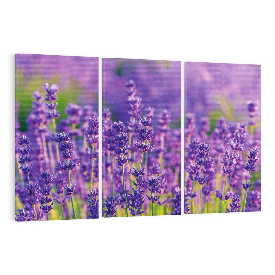 Obraz na płótnie 120x80 - Zaklęta lawenda - lawenda, kwiaty